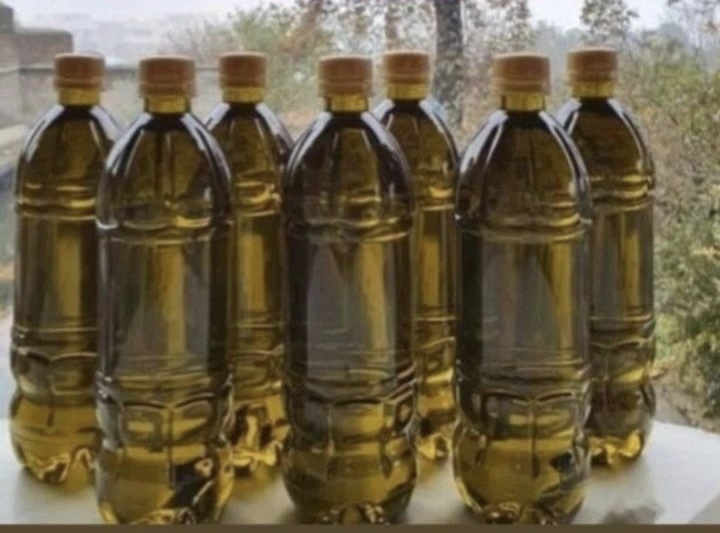 روغن زیتون بی بو