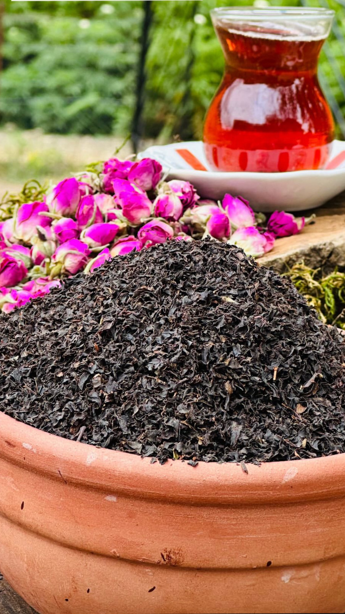 چای سرگل بهاره لاهیجان