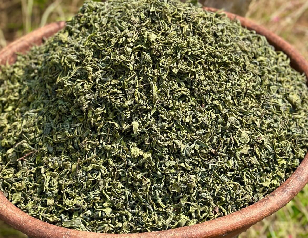 چای سبز لاهیجان