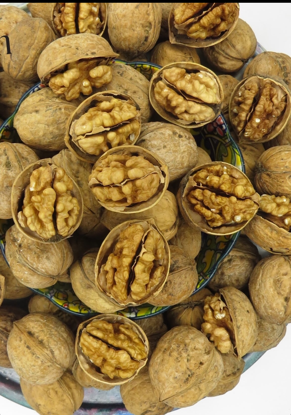 گردو با پوست نازک ۹۵ درصدی مغز